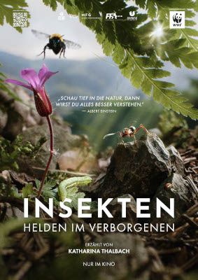 Insekten